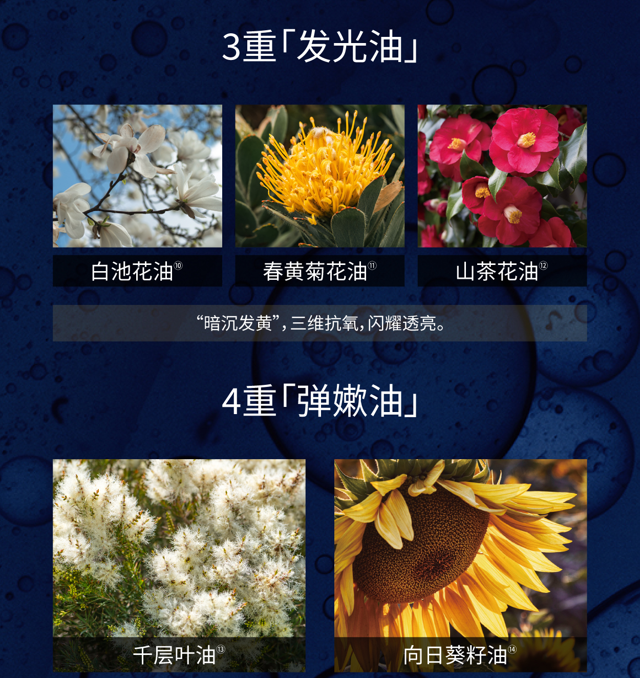 小鹿面膜 商品详情图 13