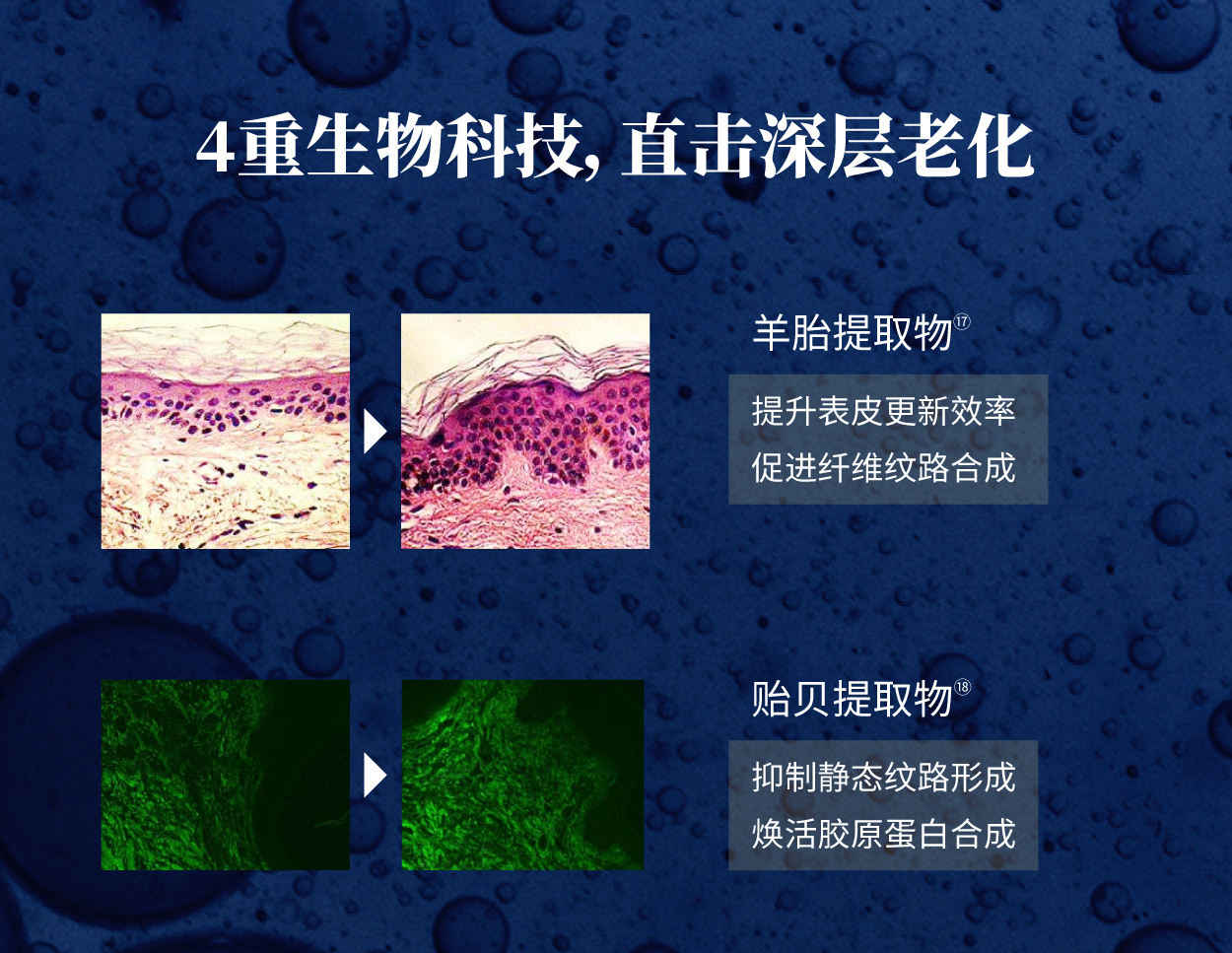 小鹿面膜 商品详情图 11